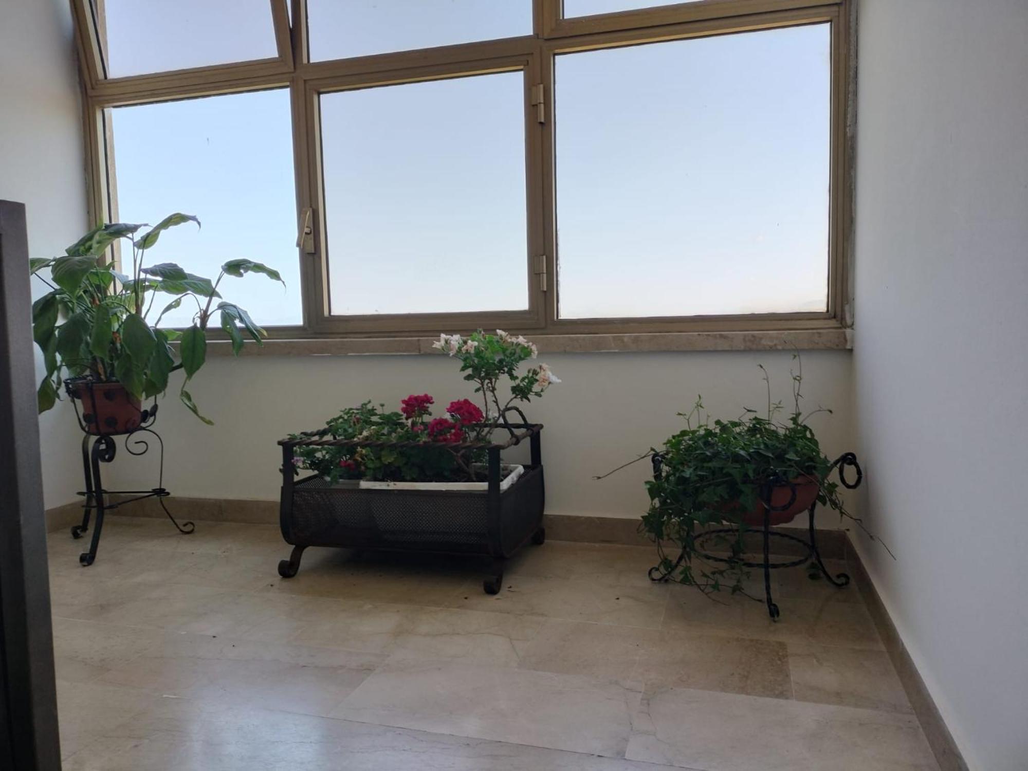 D&P Suites 1 Salemi Ngoại thất bức ảnh